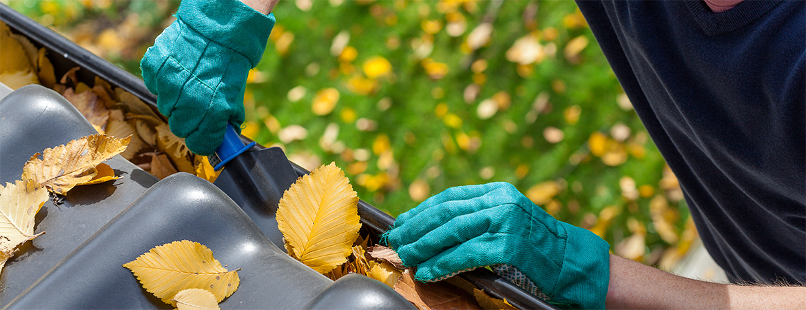 Pretty foliage can quickly turn ugly when it falls from trees and starts to call your gutters home