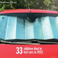 vehicle heat stroke 2023.jpg