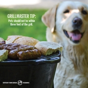 Grill safety tip 2