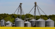 On-Farm Grain Storage: A Game-Changer for Many Producers