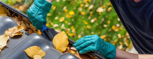 Trees, leaves and debris: Your gutters' worst enemies