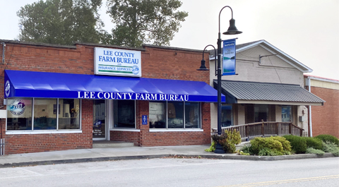 Lee County Agency