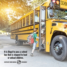 sharing the road with school buses
