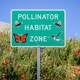Pollinators Make a Beeline for Roadside Wildflower Plots