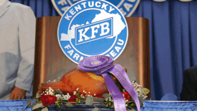 More than $54 Million raised since 1964