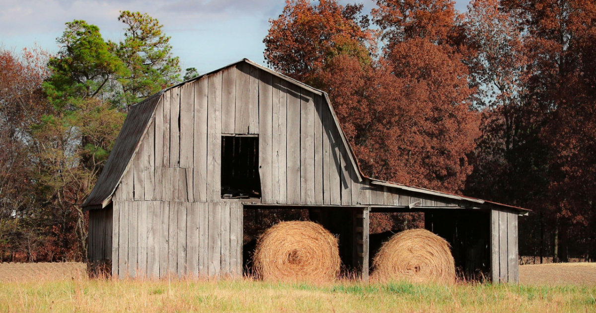 Down the Backroads: I can always take a vacation to the beach, but I could never replace the seasonal beauty of Kentucky.