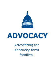 Advocacy