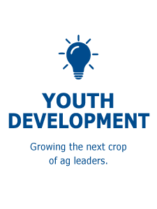 Youth Development