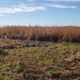Kentucky Mesonet Strategic Initiatives Update, Climate Summary, and Climate Outlook