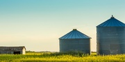 8 ways to ensure safety in and around grain bins