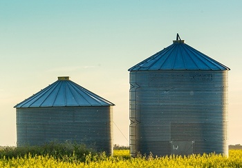 8 ways to ensure safety in and around grain bins