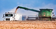Record Agricultural Cash Receipts for 2022...However!