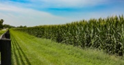 Ag Econ 101: Planting Intentions 2025
