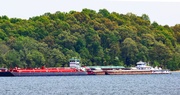 Agricultural Exports Important to American Farm Families and Their Customers Around the World