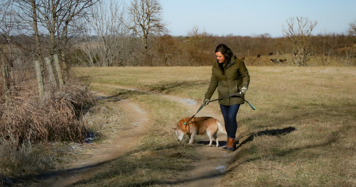 Down the Backroads | Special Edition