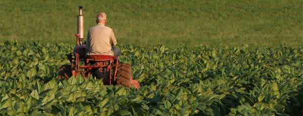 Steps for sharing the road with farm equipment