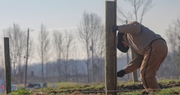 Rebuilding Kentucky Farms One Fencerow at a Time