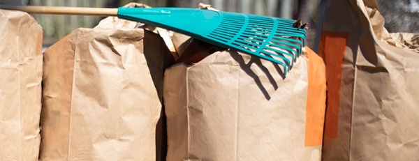 What should you do with your yard waste?