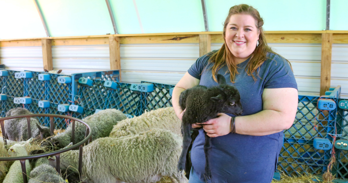 Finding Calmness on the Farm