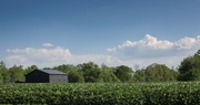 Environmental Stewardship Advisory Committee
