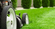 The mow you know: 6 essential tips for grass cutting season