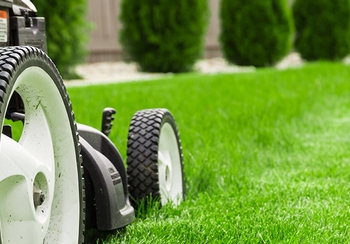 The mow you know: 6 essential tips for grass cutting season The mow you know: 6 essential tips for grass cutting season