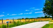 Down the Backroads | Be Careful of Those Headline Rabbit Holes.