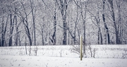 Kentucky Winter Weather Proving to be a Roller Coaster Ride, So Far