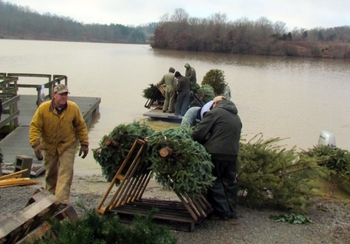 Do you have a live Christmas tree? Here's one way you can recycle it Do you have a live Christmas tree? Here's one way you can recycle it