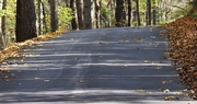 Down the Backroads: The Love of the Printed Word