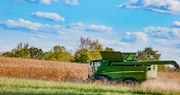 Grain Crops Update