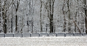 Springtime in Kentucky