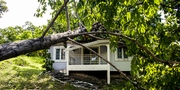 Fallen trees: What's covered (and what's not) on your insurance policy
