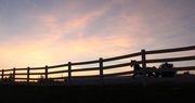 Down the Backroads: The Bond of a Barn Family