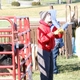 Mercer County Farm Bureau Sponsors Ag Awareness Day