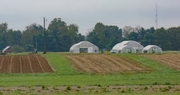 UK Horticulture Research Farm Continues a Historic Legacy