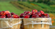 Farm Bureau: Brashears Excellent Choice for Under Secretary for Food Safety