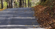 Down the Backroads: A Sense of Dignity Greater than Hunger Itself