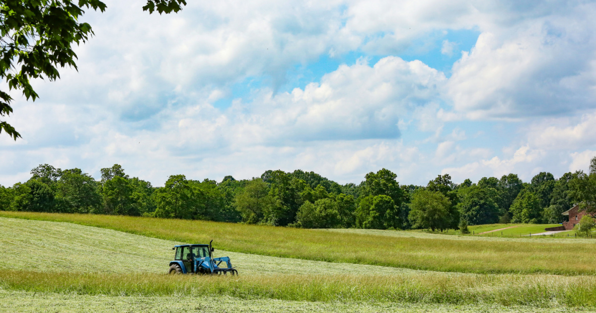 The Kentucky Farmland Transition Initiative Network