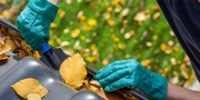 Trees, leaves and debris: Your gutters' worst enemies