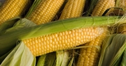 Market Closes - July 29, 2022