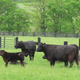 On-Farm Water Management Update