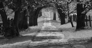 Stress on the Farm and in Rural America: Acknowledging its existence can be a good first step in combating this issue