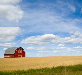 For the Farm