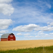 For the Farm