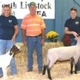 Scott County Youth Livestock Sale