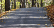 Down the Backroads:  The Resources We Have Around Us That We Never Seem To Use