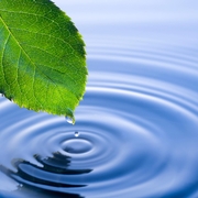 2015 Waters of the United States (WOTUS)