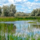 KRWA Rural Water Issues