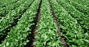 Market Closes - July 12, 2022